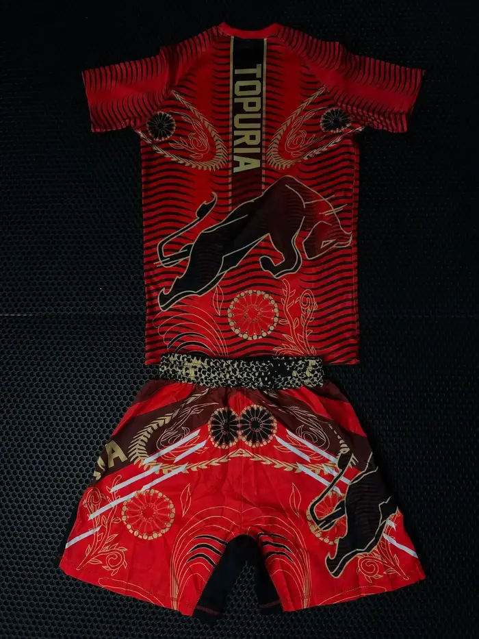 Ensemble de t-shirts de combat UFC pour hommes