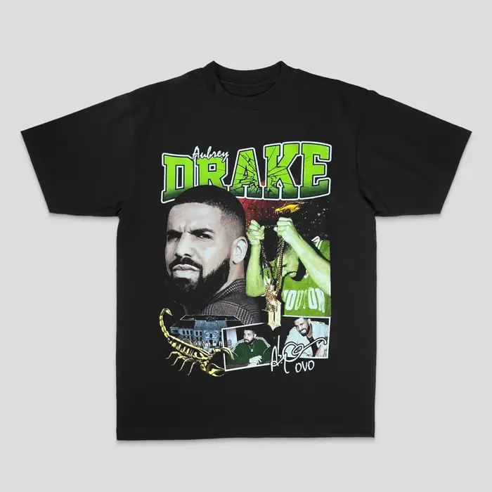 Drake européen et américain mâle canard Rock