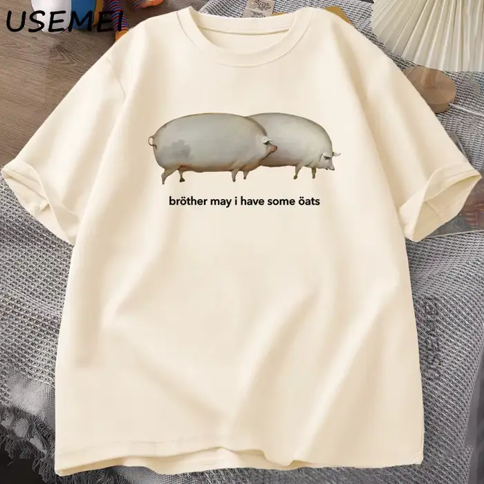 Frère mai j'ai quelque avoine T-shirt hommes femmes drôle cochon graphique t-shirts Harajuku ample décontracté à