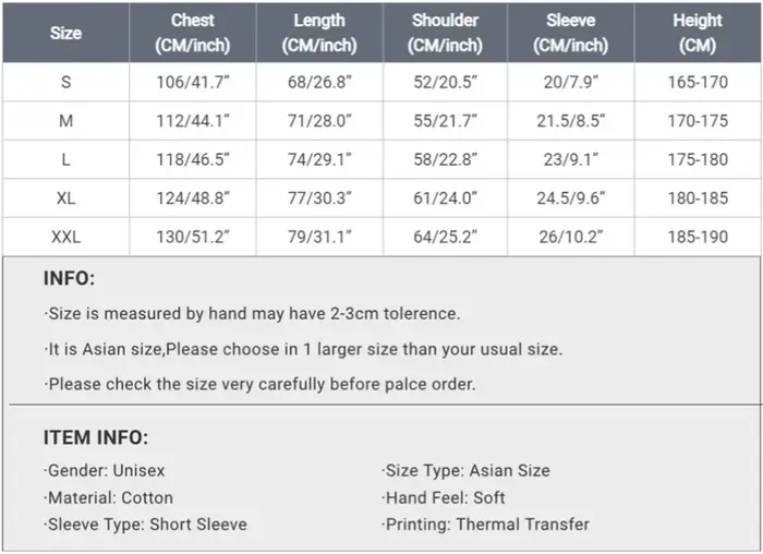 T-shirt ARISE Solo Leveling