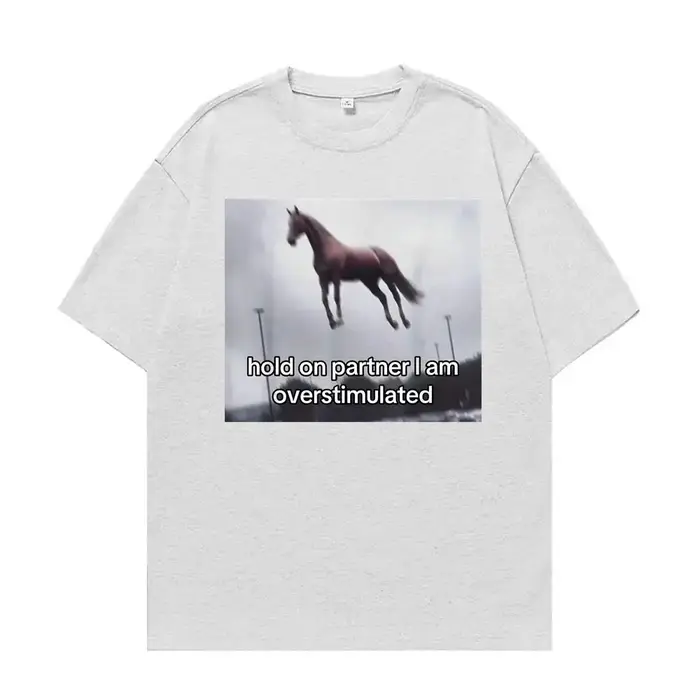 T-shirt humoristique « Hold on Partner I Am Overstimulated Horse » pour hommes et femmes