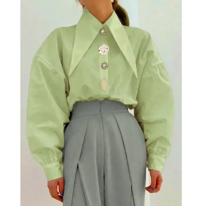 Printemps mode chemise à manches longues col pointu bureau dame Blouse