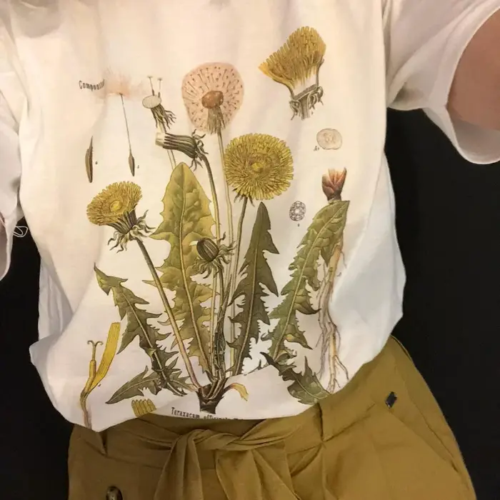 2025 été Marine algues imprimé T-shirt à la mode Ins plissé à manches courtes Chic Y2k Hip-hop demi