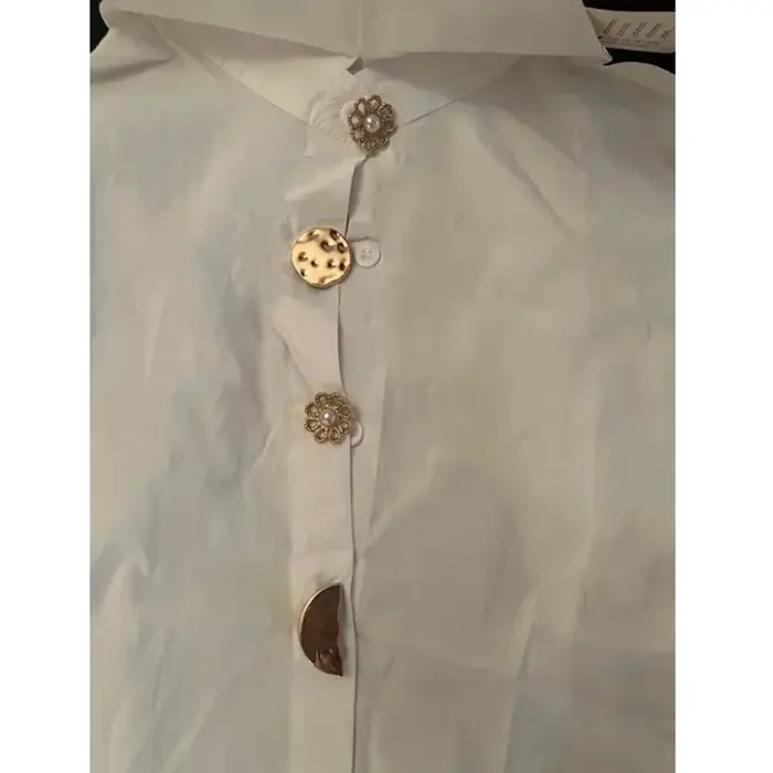 Printemps mode chemise à manches longues col pointu bureau dame Blouse