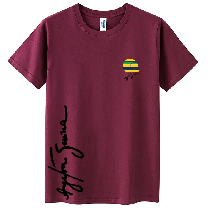 Héros Ayrton Senna t-shirt hommes à manches courtes 100% coton T-Shirts drôle F1 homme