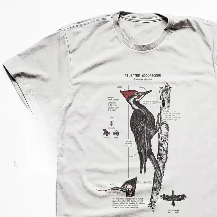 T-shirt d'anatomie de pic pileisé