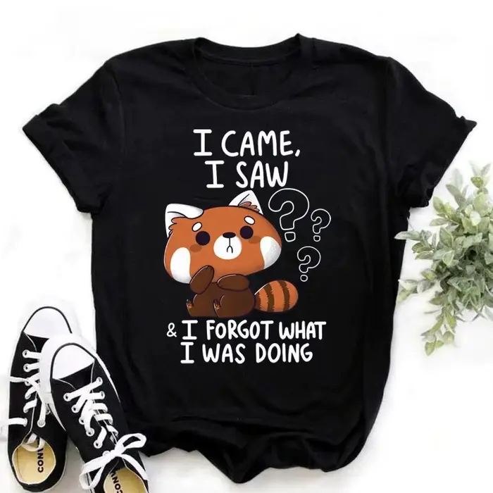 T-shirts pour femmes avec motif de raton laveur 'I Came I Saw'