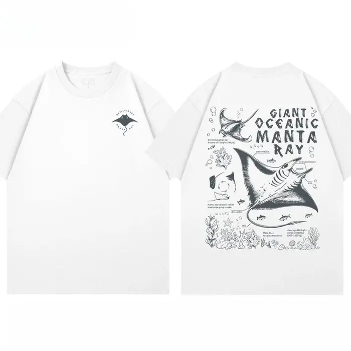 Nouveauté 2026 T-shirts à manches courtes pour femmes