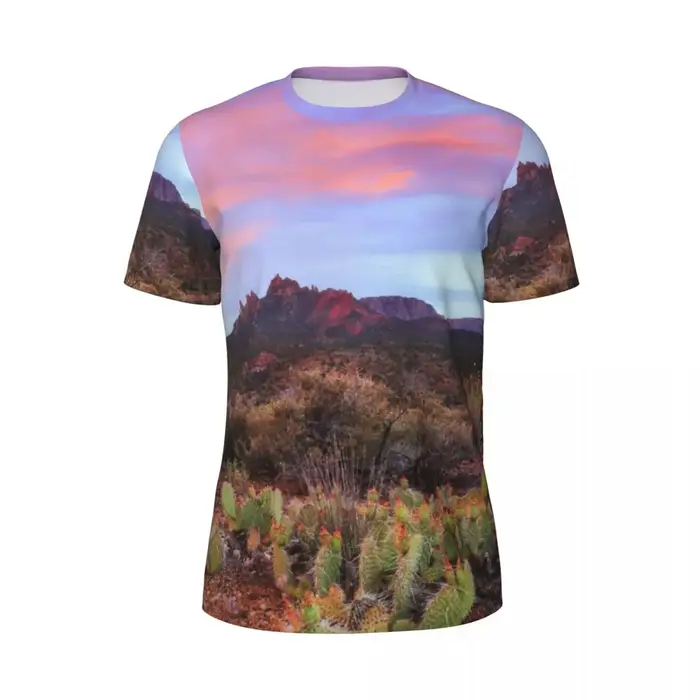 Désert coucher de soleil T-Shirt Cactus paysage à la mode Cool Gym t-shirts manches courtes respiran