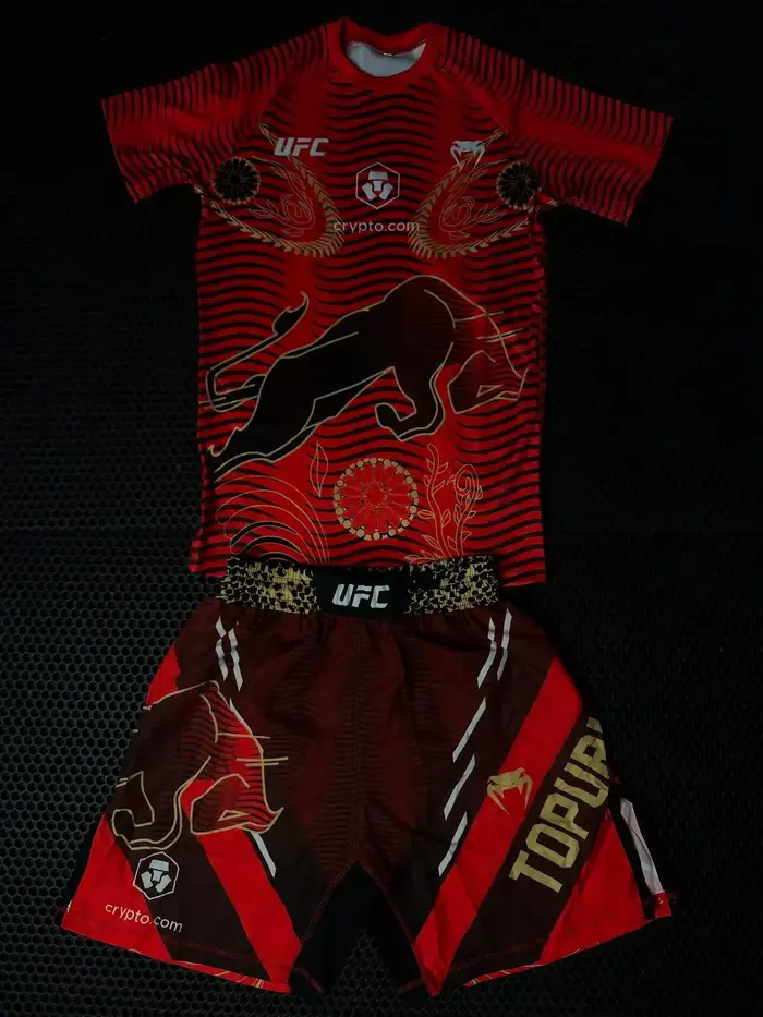 Ensemble de t-shirts de combat UFC pour hommes