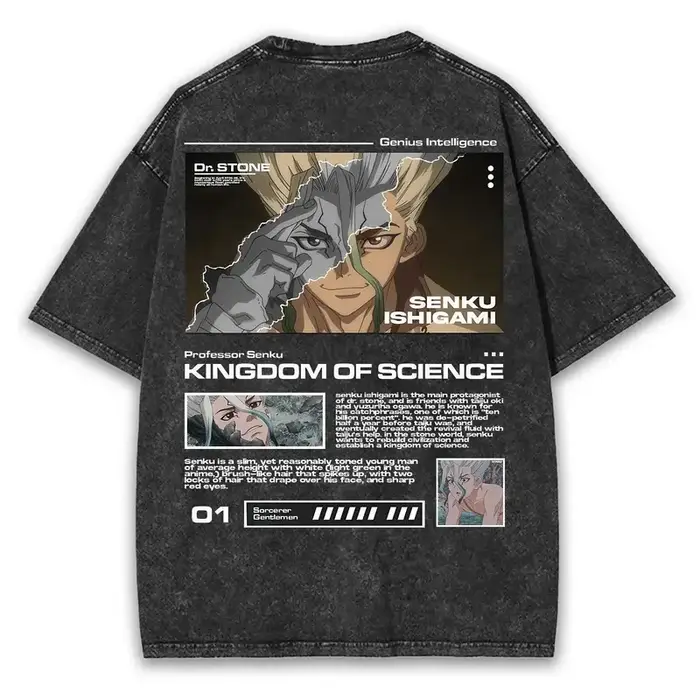 Nouveau Ishigami Senku T-shirt graphique Dr. Stone Anime Vintage lavé surdimensionné