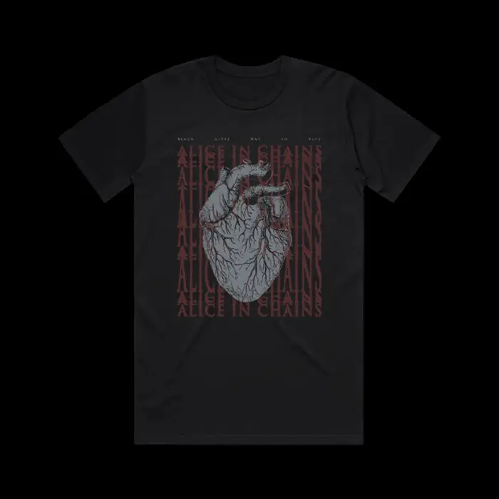 T-shirt double face Alice in Chains Dirt pour homme