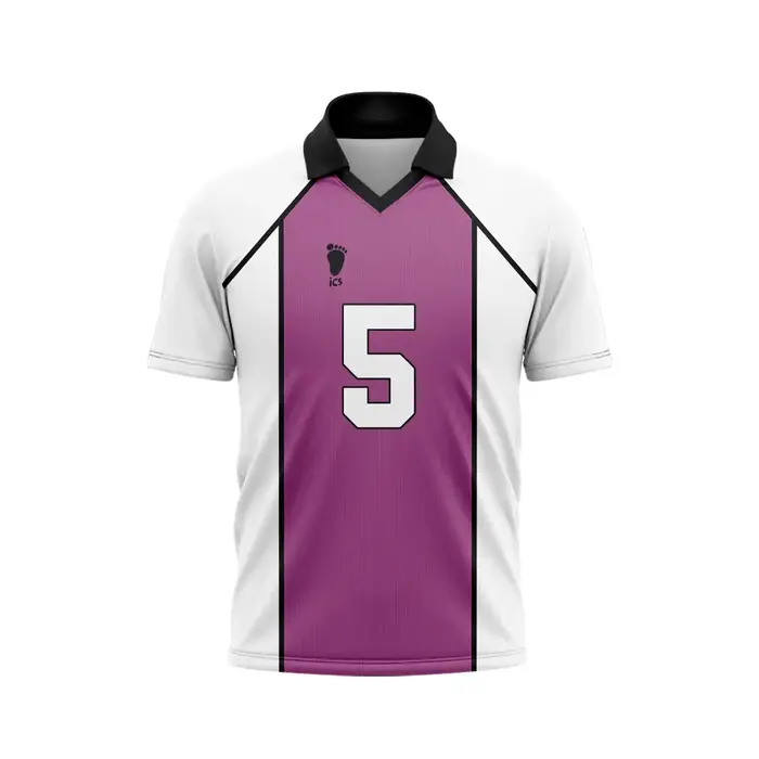 Maillot de volley-ball personnalisé Haikyuu Karasuno High Hinata 10 pour hommes et femmes, uniforme