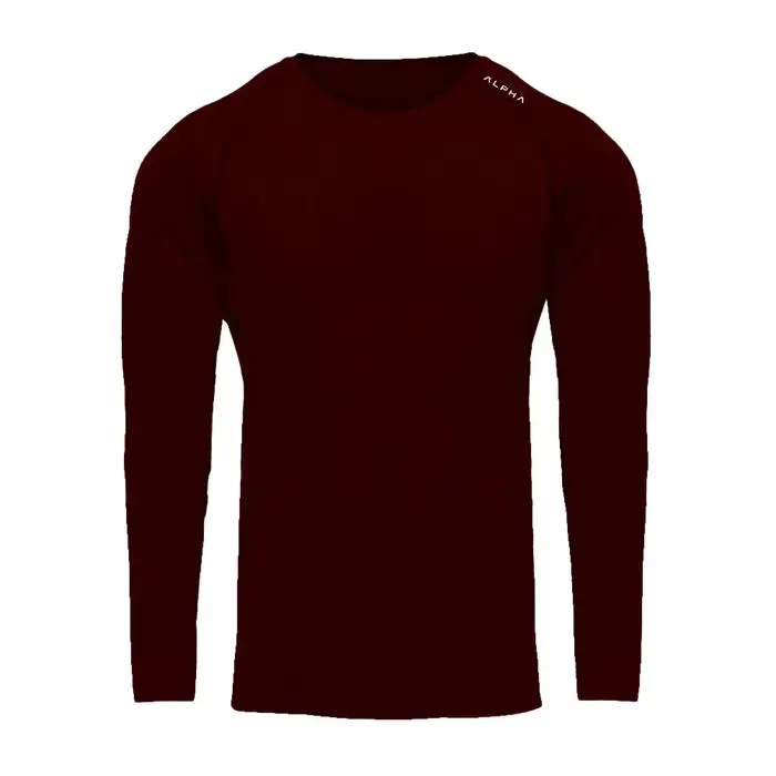 T-shirt de musculation à manches longues pour hommes, col rond, séchage rapide, sport, entraînement,