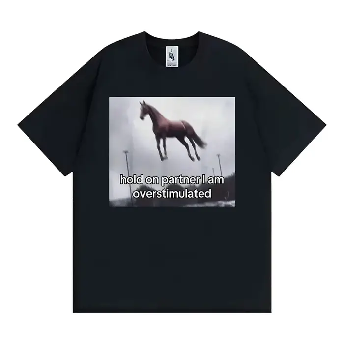 T-shirt humoristique « Hold on Partner I Am Overstimulated Horse » pour hommes et femmes, décontract