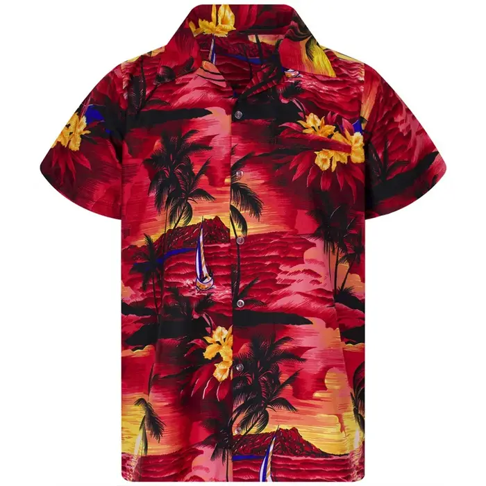 Chemise Homme 2024 Nouveau Style Imprimée à Revers Manches Courtes Hawaïenne Vacances Été Décontractée Respirante Streetwear Extérieur Travail Quotidien