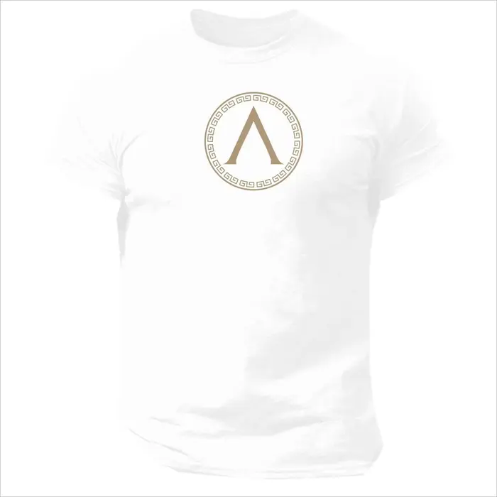 T-shirt Spartan Shield, vêtements de sport, musculation, entraînement, MMA, boxe, t-shirts pour homm