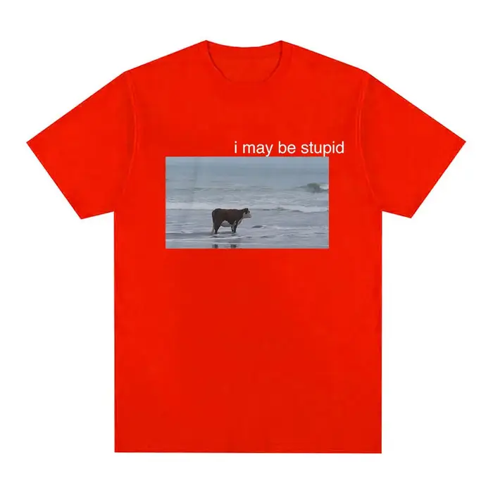 I May Be Stupid Cow on Beach Funny Meme T-shirt pour hommes, T-shirt à manches courtes à col rond, É