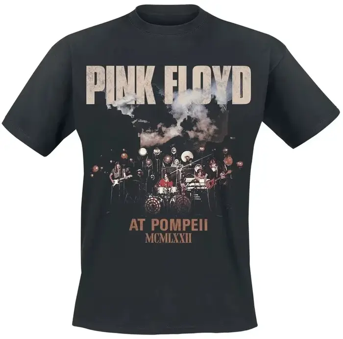 T-Shirt du groupe Pink Floyd, 100% coton, avec image graphique, pour hommes et femmes, Streetwear d'