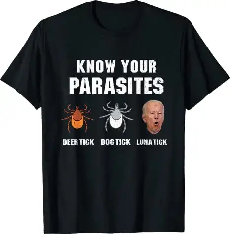 T-Shirt Joe Biden pour hommes, drôle, citation sarcastique, graphique, hauts, vêtements de campagne,