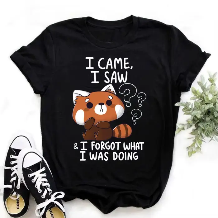 T-shirt manches courtes col rond femme, estival et décontracté, mignon, raton laveur, I Came I Saw