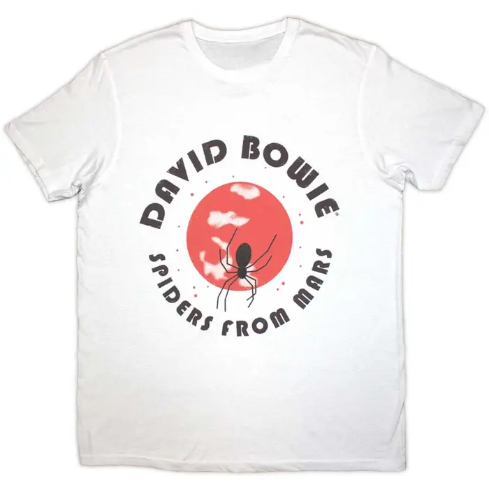 T-Shirt David Bowie On Tour 1974, en coton, avec image graphique, pour hommes et femmes, Streetwear d'été