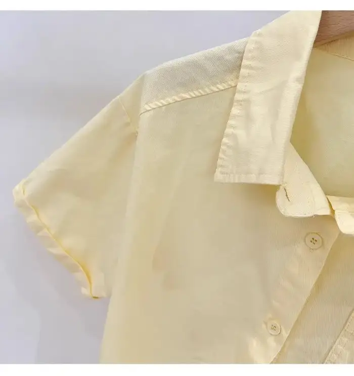 Été coton à manches courtes hauts femmes 2025 nouveaux cols Polo chemise courte brodée Blouses décontractées amples